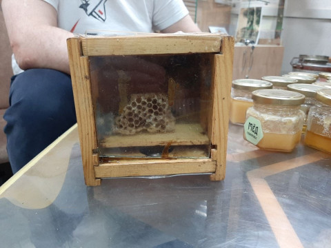 Лечение растяжения связок локтевого сустава пчелоужалением, часть 2